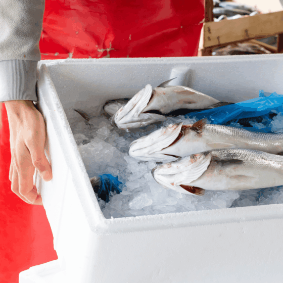 Caisses de transport alimentaire en PSE - PolyStyrène Expansé